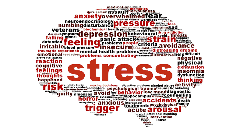 Stress Responses To Massage Therapy